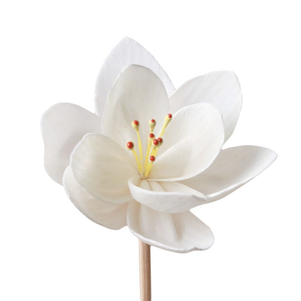 Bâtonnets diffuseurs d'encens  - Home Fragrance Diffuser Sticks avis et prix
